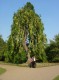 Thumbs/tn_DSC05760.jpg