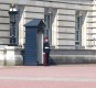 Thumbs/tn_DSC05768.jpg