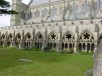 Thumbs/tn_DSC05845.jpg