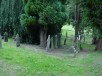 Thumbs/tn_DSC05872.jpg