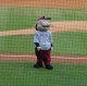 Thumbs/tn_DSC07849.jpg
