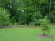 Thumbs/tn_Dsc01465.jpg