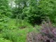 Thumbs/tn_Dsc01471.jpg