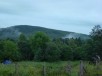 Thumbs/tn_DSC08298.jpg