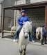 Thumbs/tn_DSC08307.jpg
