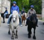 Thumbs/tn_DSC08308.jpg