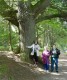 Thumbs/tn_DSC08314.jpg
