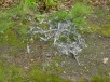 Thumbs/tn_DSC08315.jpg