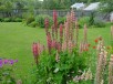 Thumbs/tn_DSC08326.jpg