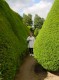 Thumbs/tn_DSC08374.jpg
