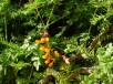 Thumbs/tn_DSC08375.jpg