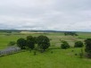 Thumbs/tn_DSC08409.jpg