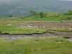 Thumbs/tn_DSC08474.jpg
