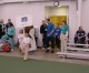 Thumbs/tn_DSC09781.jpg