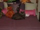 Thumbs/tn_DSC05622.jpg
