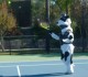 Thumbs/tn_DSC08951.jpg