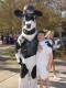 Thumbs/tn_DSC08952.jpg