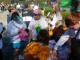 Thumbs/tn_DSC08973.jpg