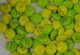 Thumbs/tn_DSC07635.jpg