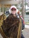Thumbs/tn_DSC00274.jpg
