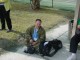 Thumbs/tn_DSC03377.jpg