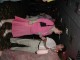 Thumbs/tn_DSC03463.jpg