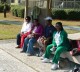 Thumbs/tn_DSC06455.jpg
