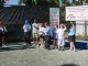 Thumbs/tn_DSC03560.jpg