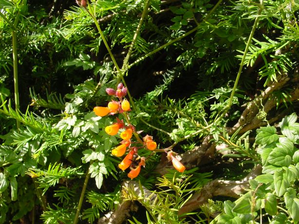 ../Images/DSC08375.jpg